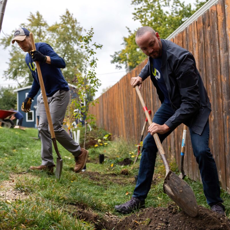 Two men planting trees in front of a wooden fence on a cloudy day.
