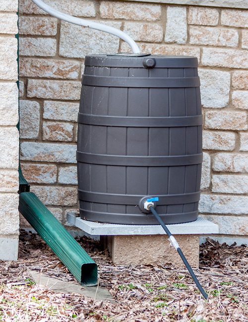 Exterior rain barrel
