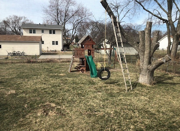 Back yard of Urbandale resident with brown grass and no plantings