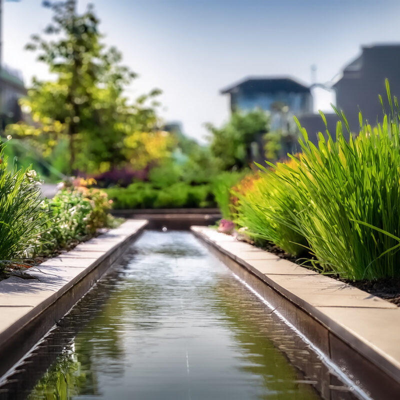 Rain garden next to businesses